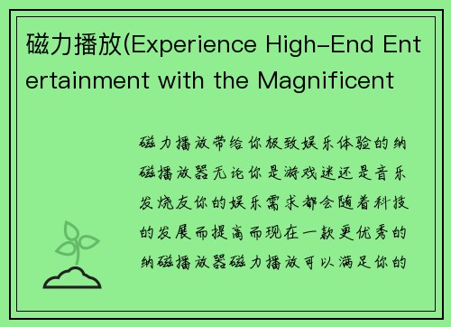 磁力播放(Experience High-End Entertainment with the Magnificent Magnetic Player — Upgrade Your Gaming Experience with Cutting-Edge Magnetic Technology)